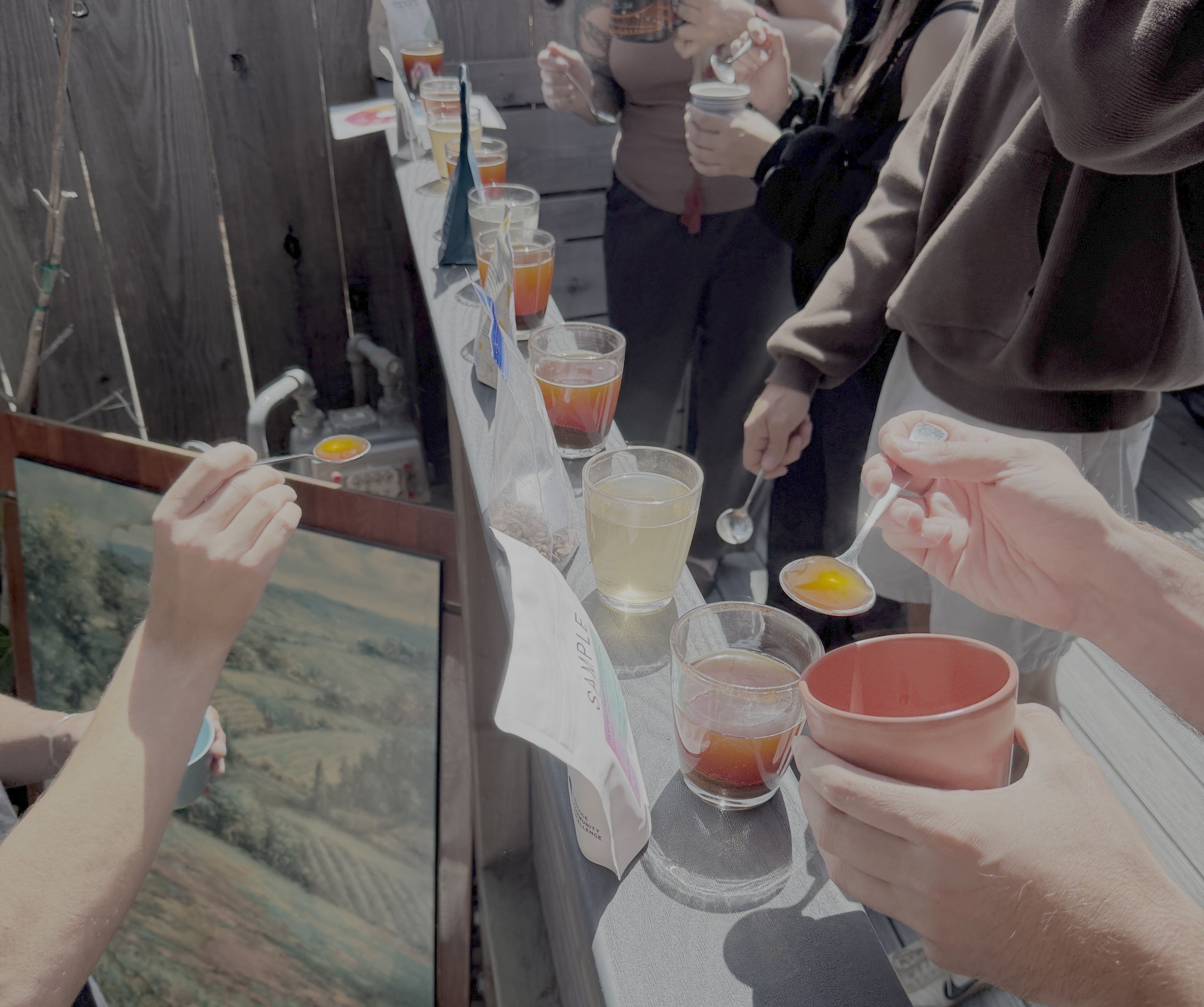 Hands tasting a flight of coffees