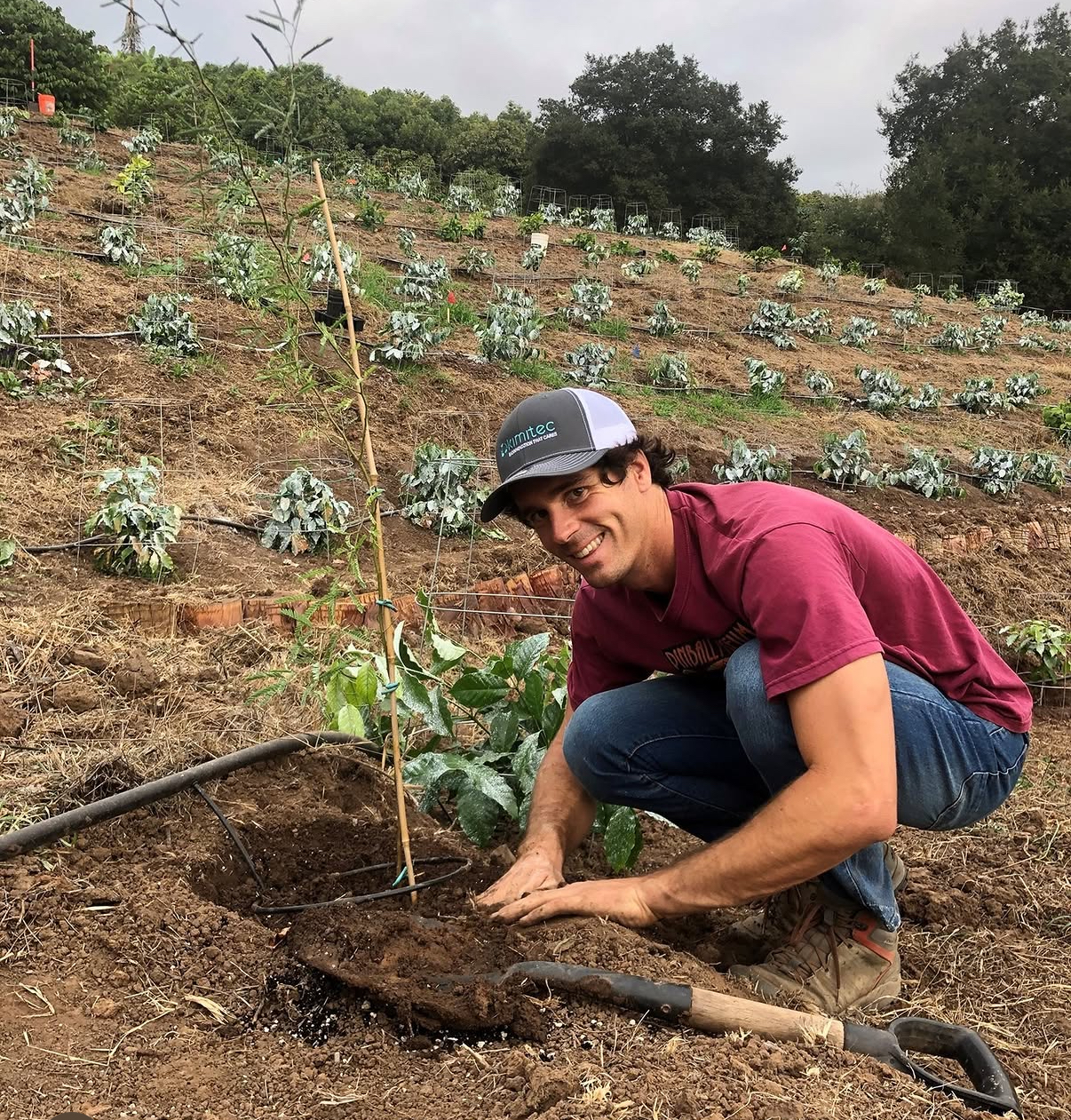 Griffin planting a coffee seedling on a hillside farm